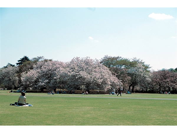 新宿御苑