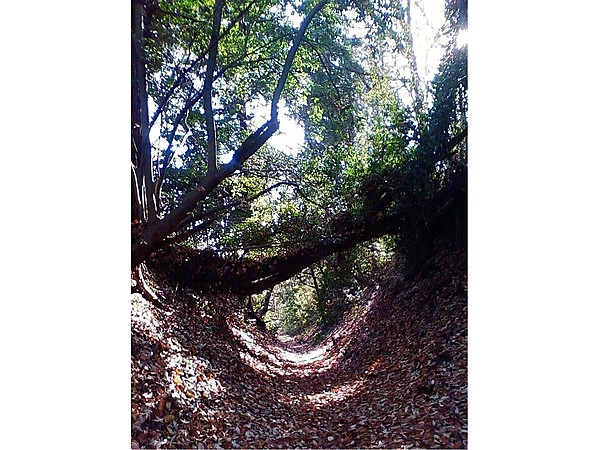 相原七国峠古道