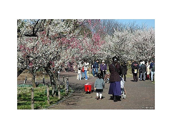 府中市郷土の森博物館