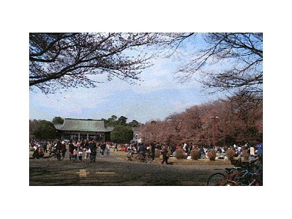 都立小金井公園