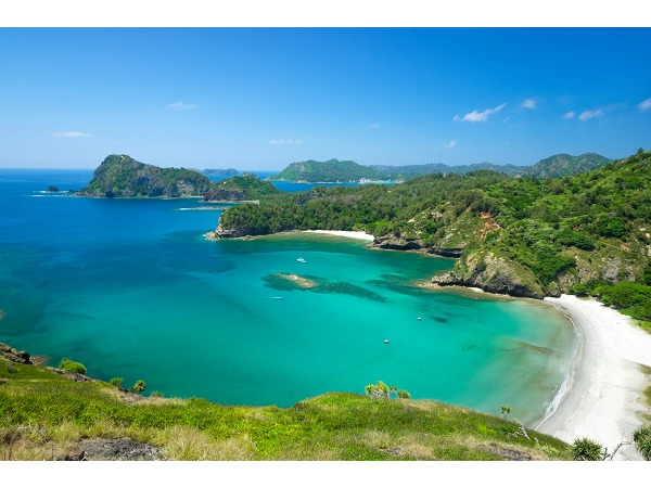 小笠原村観光協会