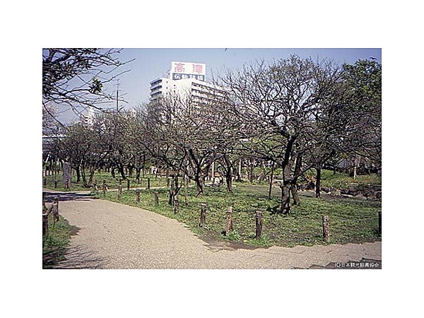 聖蹟蒲田梅屋敷公園