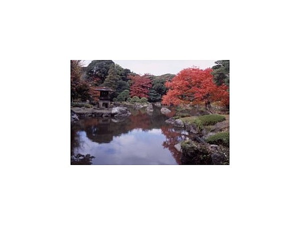 旧古河庭園の紅葉