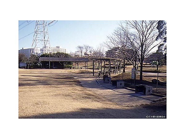 富士公園少年キャンプ広場