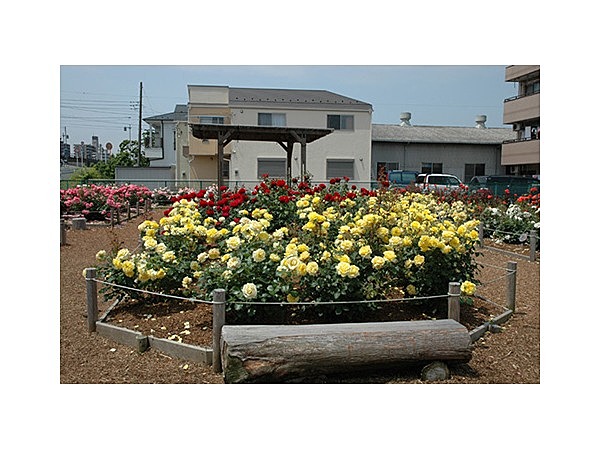 奥戸フラワーパーク